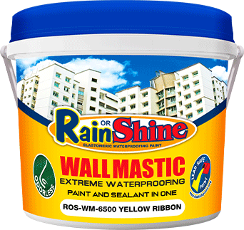 Rain or Shine Wall Mastic